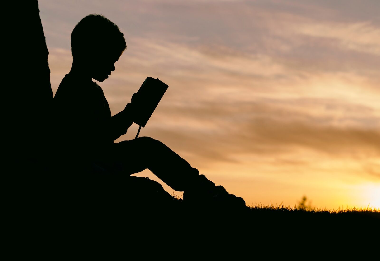 silhouette of child sitting behind tree during sunset